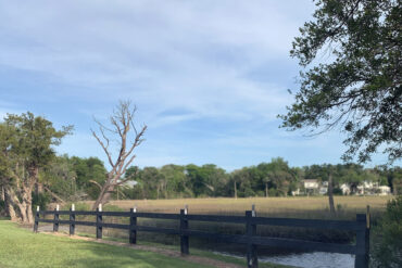 Neptune Beach marshes